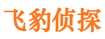 连山侦探公司